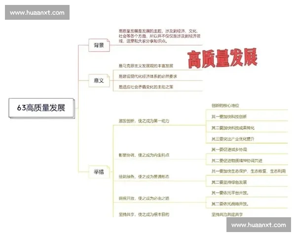 以组织能力为核心驱动高质量发展的系统性提升路径研究与实践框架